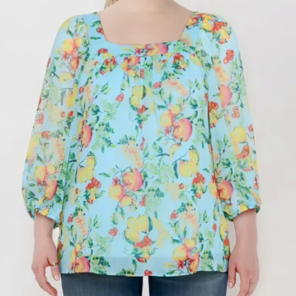 LC Laura Conrad, NWOT, Peasant Chiffon Blouse, Fruit Print, Size XXL - Picture 3 of 11